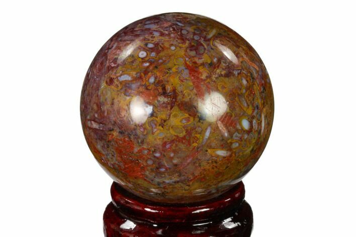 Colorful, Polished Petrified Palm Root Sphere - Indonesia #150144